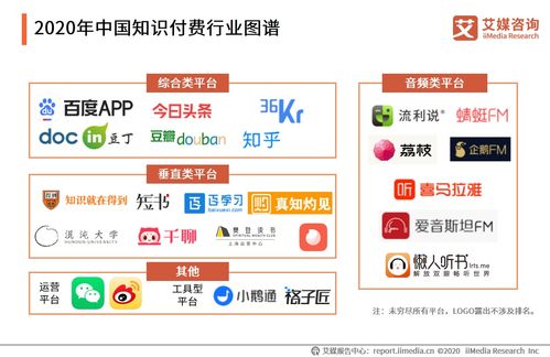 2020年中国知识付费行业发展专题研究报告 知识产权代理与信息咨询的新常态